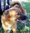 Rex