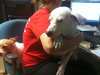 Nike the Best Dog!