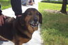 Barney