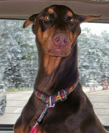 Athena
