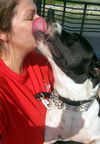 Richie the Loving Bulldog