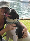 Richie the Loving Bulldog