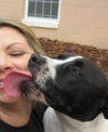 Richie the Loving Bulldog