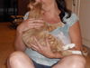 Weasley the Kissing Kitten (VIdeo)