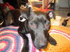 Ross the Summer Camping Sweet Girl