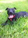 Ross the Summer Camping Sweet Girl