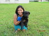 Bear the Baby Terrier