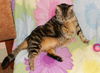 Penny the Truly Loving Kissing Cat (Video)
