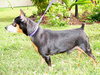 Nero the MinPin