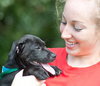 Dooley the Black Lab Pup