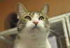 Napa the Gentle & Loving Boy