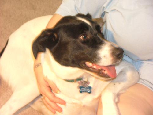 Molly