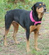 Roxy