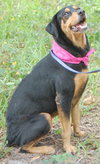 Roxy
