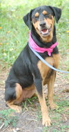 Roxy
