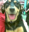 Roxy