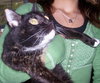 Sheba