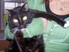 Sheba