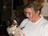 Harley the Papillon