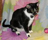 Selena the Super Sweet Little Girl