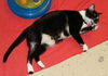 Selena the Super Sweet Little Girl