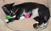 Selena the Super Sweet Little Girl
