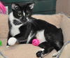 Selena the Super Sweet Little Girl