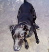 George