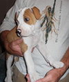 Buster
