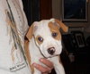 Buster