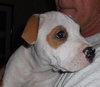 Buster