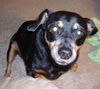 Maggie Mae