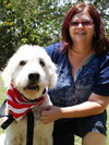 Clifford the Great Pyrenees