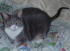 Kiki the Snaggle Toothed Sweet Lady