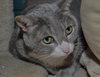 Kiki the Snaggle Toothed Sweet Lady