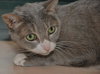 Kiki the Snaggle Toothed Sweet Lady