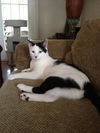 Mackie the Super Loving Boy