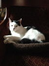 Mackie the Super Loving Boy