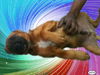 Katniss the Hunger Games Puppy