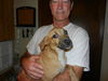 Lori the Lab/Shepherd Puppy