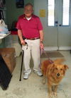 Goldie the Golden Retriever