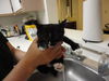 Shelly the Snuggling Kitten (Video)