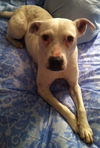 Brinn the Sweet Little Girl