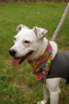 Brinn the Sweet Little Girl