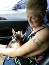 Lilly the Little Chihuahua