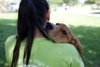 JT the Super Sweet Lab