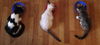 Cypress the Mellow & Loving  Kitten