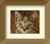 Kitty Perry the Kitten