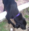 Espresso the Mini-Lab