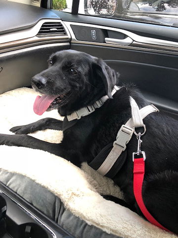 Espresso the Mini-Lab